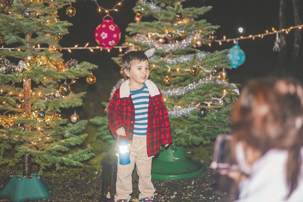 Rainier Lantern Walk7